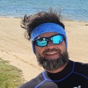 Palmenkiter